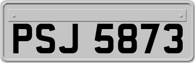 PSJ5873