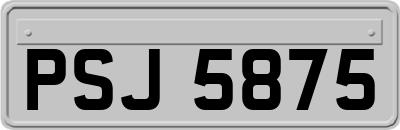 PSJ5875