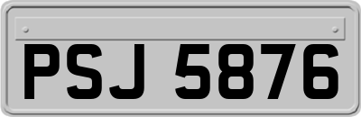 PSJ5876