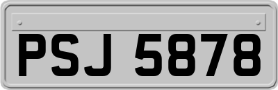 PSJ5878