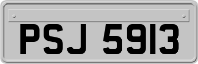PSJ5913