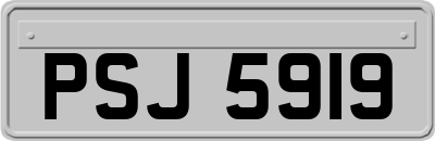 PSJ5919