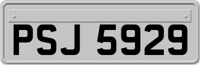 PSJ5929
