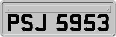 PSJ5953