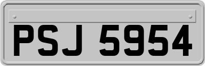 PSJ5954