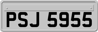 PSJ5955