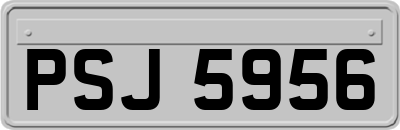 PSJ5956