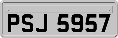 PSJ5957