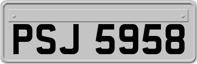 PSJ5958