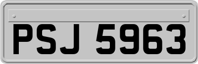 PSJ5963