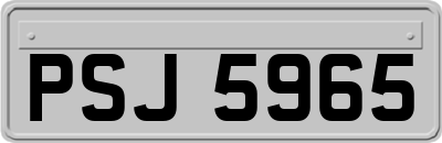 PSJ5965