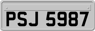 PSJ5987