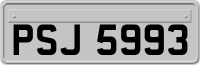 PSJ5993