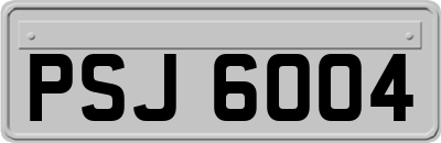 PSJ6004