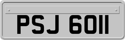 PSJ6011