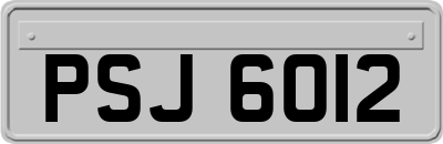 PSJ6012
