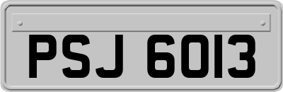 PSJ6013