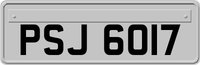PSJ6017