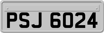 PSJ6024