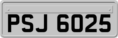 PSJ6025