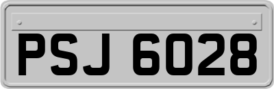 PSJ6028