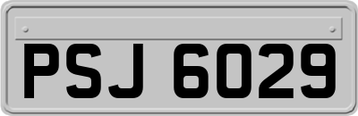 PSJ6029