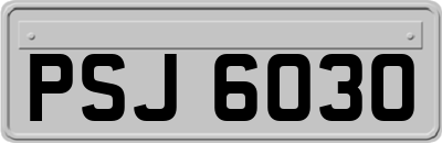 PSJ6030