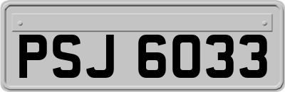 PSJ6033