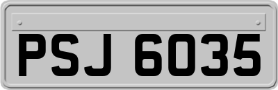 PSJ6035