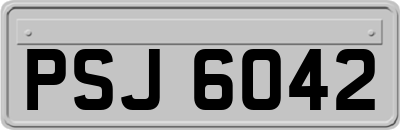 PSJ6042
