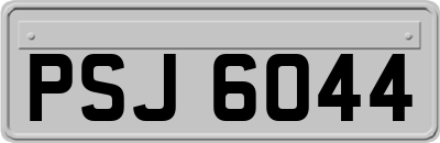 PSJ6044