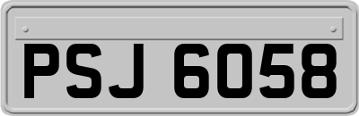 PSJ6058