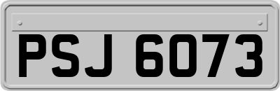 PSJ6073
