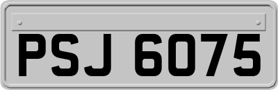 PSJ6075