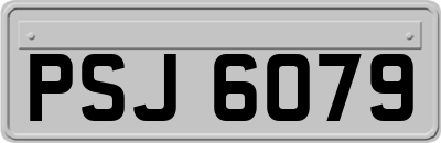 PSJ6079