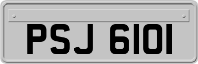 PSJ6101