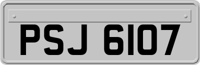 PSJ6107