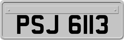 PSJ6113