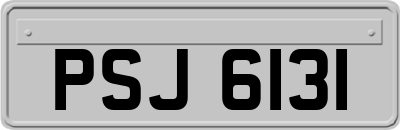 PSJ6131
