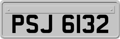 PSJ6132