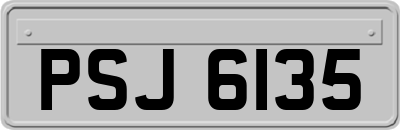 PSJ6135
