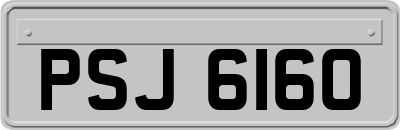 PSJ6160