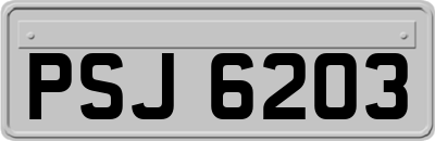 PSJ6203