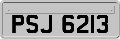 PSJ6213
