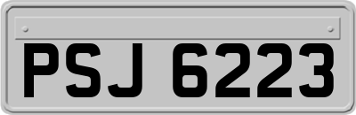 PSJ6223