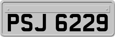 PSJ6229