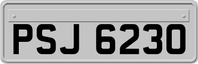 PSJ6230