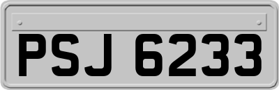 PSJ6233