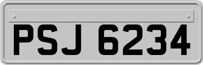 PSJ6234