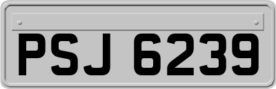 PSJ6239